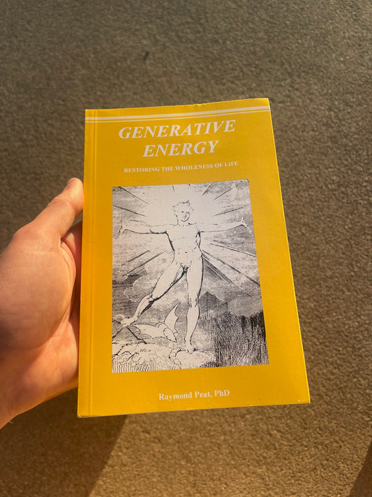 Generative Energy Restoring The Wholeness Of Life Paperback